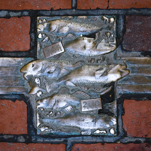 77-BAC 1X1-Boston Bricks